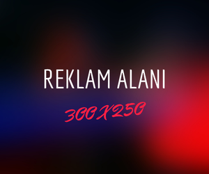 ADS 300x250